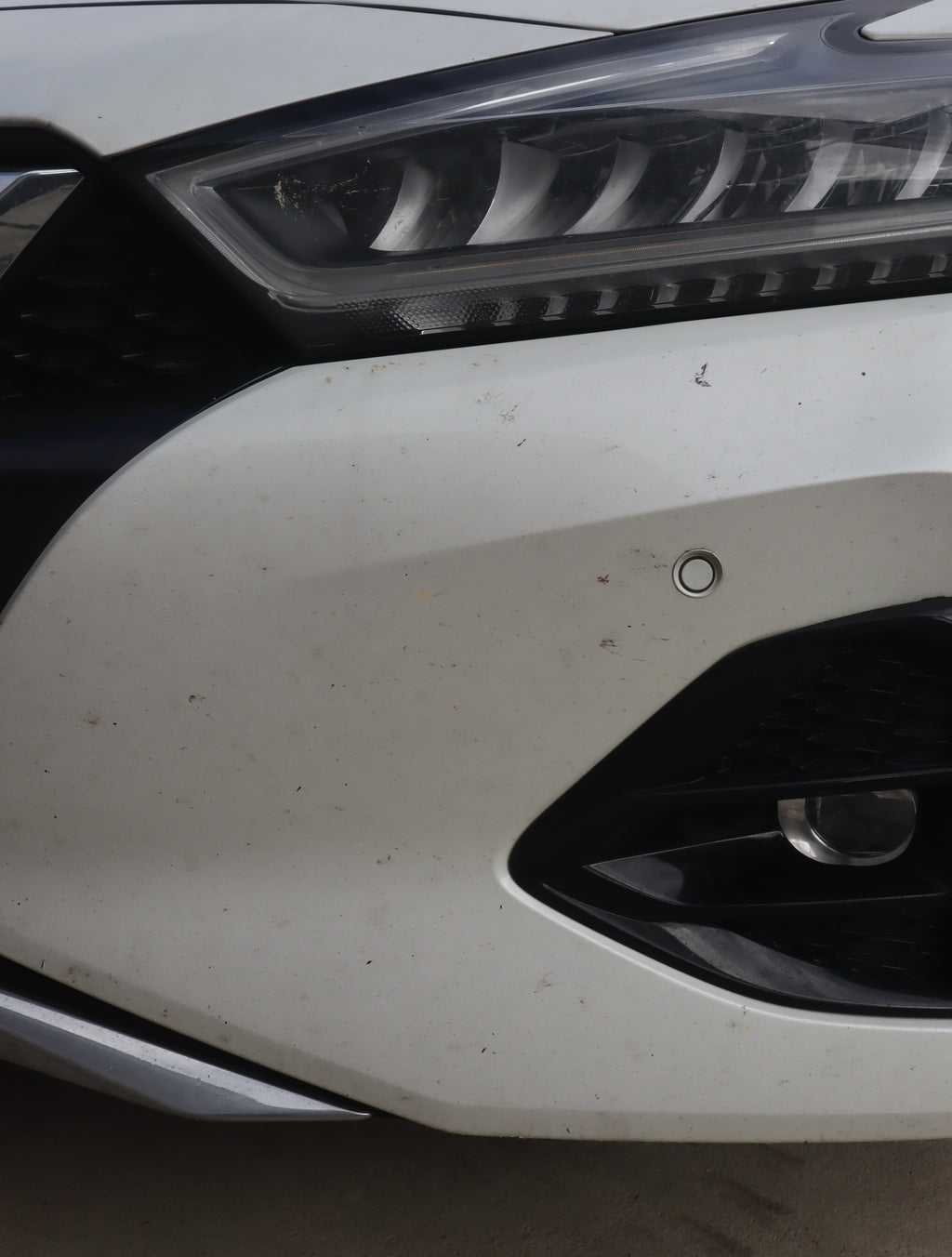 Nissan Maxima Transformation