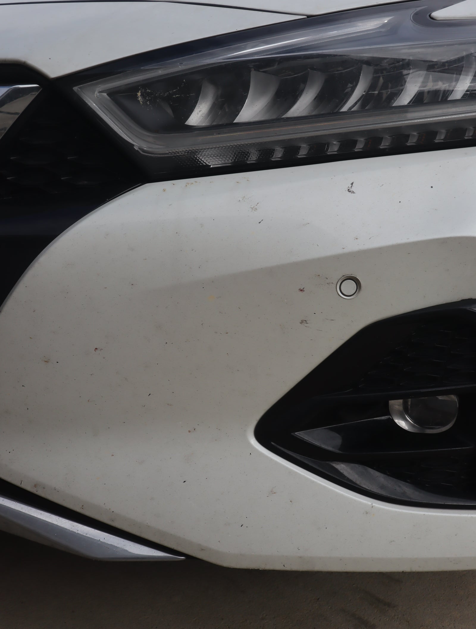 Nissan Maxima Transformation