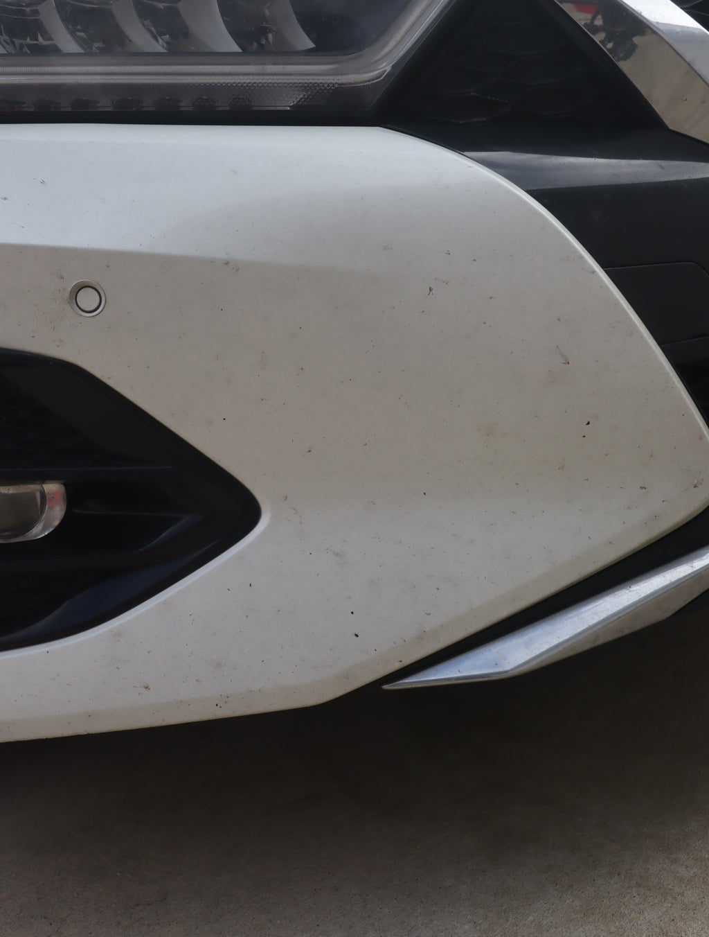 Nissan Maxima Transformation