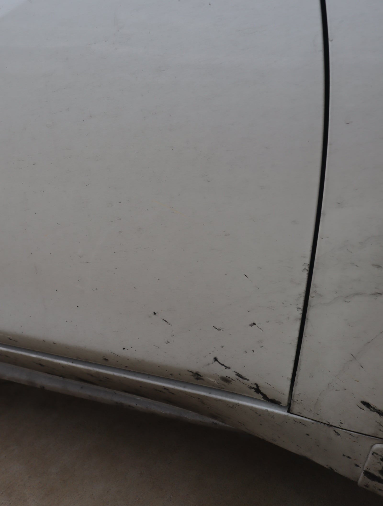 Nissan Maxima Transformation