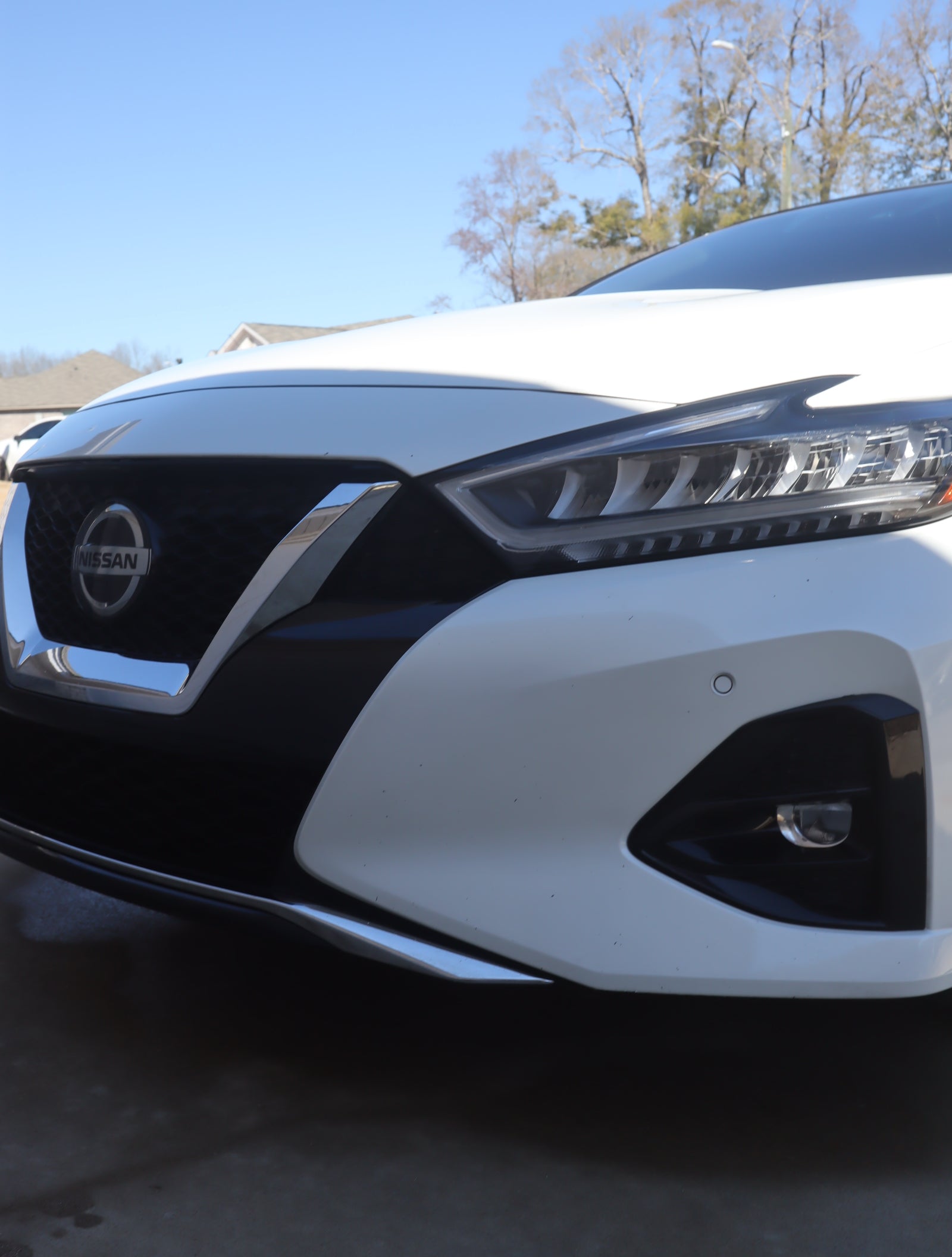 Nissan Maxima Transformation